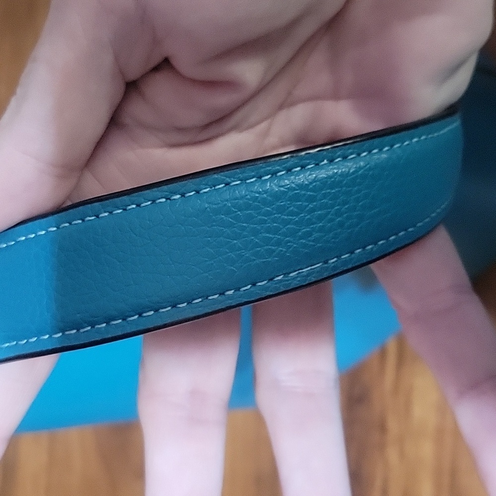 Coach Teal Crossbody Bag - Picture 10 of 14
